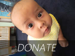 donate-small